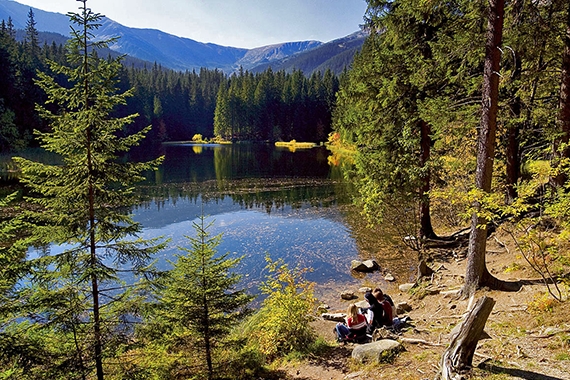 Vrbické tarn